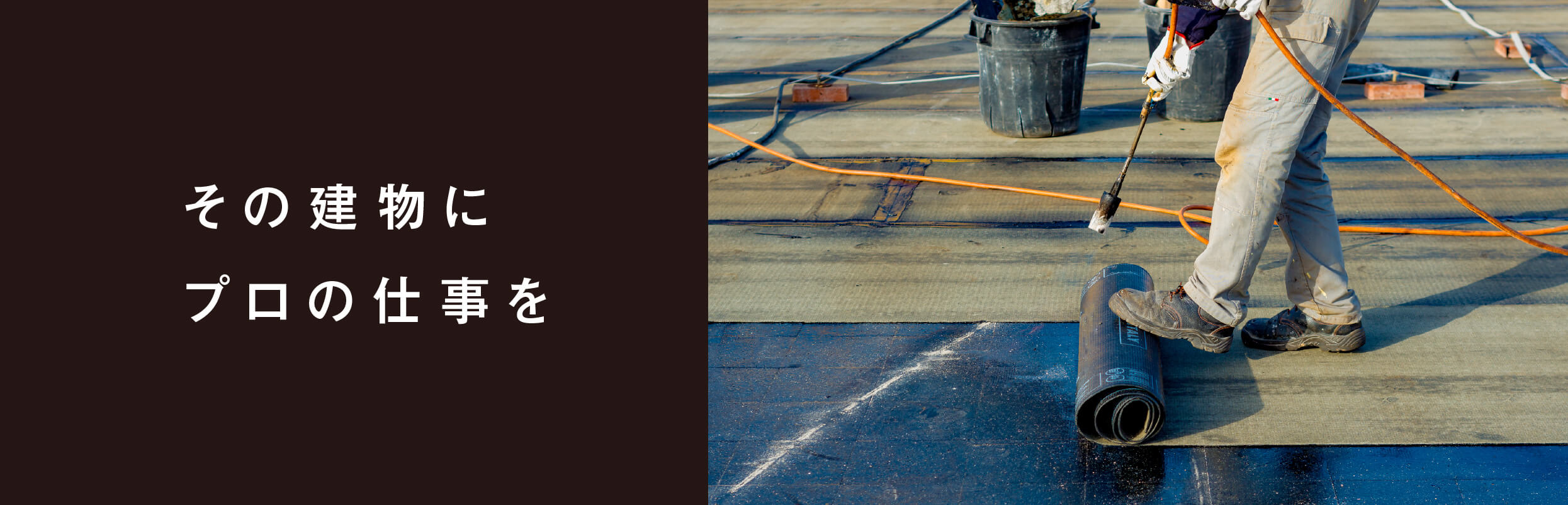 その建物にプロの仕事を